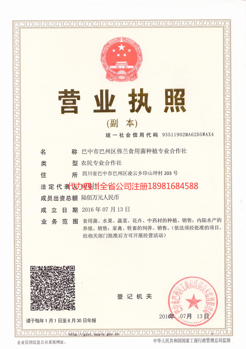 铜川铜川伟兰食用菌种植专业合作社